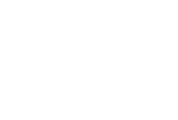 NS NUTRITION